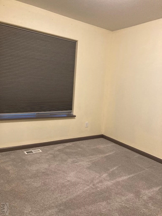 47 S Jibbsam Way, Pueblo West, CO 81007 - carpeted empty room with baseboards