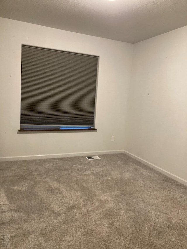 47 S Jibbsam Way, Pueblo West, CO 81007 - empty room featuring carpet flooring and baseboards
