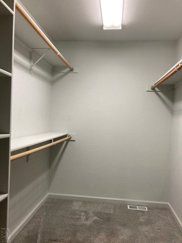 47 S Jibbsam Way, Pueblo West, CO 81007 - walk in closet with carpet flooring