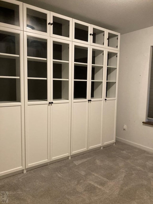 47 S Jibbsam Way, Pueblo West, CO 81007 - view of closet