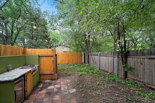 411 Olive St, Colorado Springs, CO 80904 - fenced backyard featuring beverage cooler and exterior kitchen