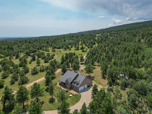 bird's eye view with a forest view