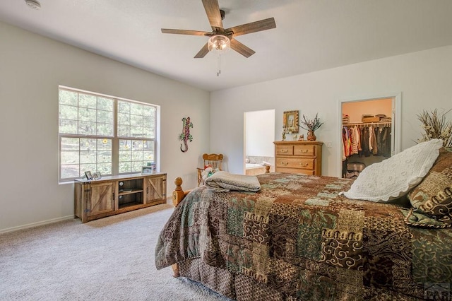 bedroom with carpet floors, a walk in closet, a ceiling fan, connected bathroom, and baseboards