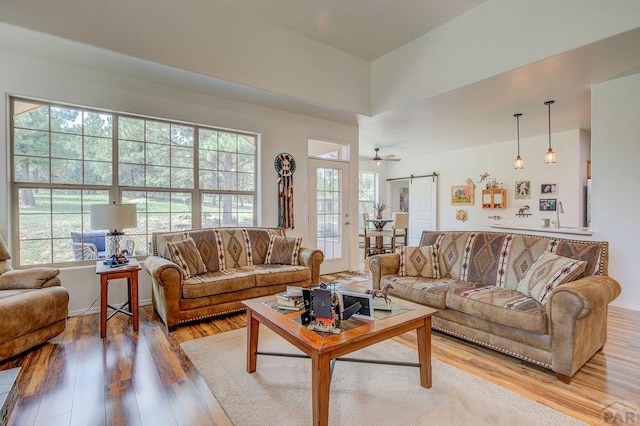 living area featuring light wood finished floors and a barn door