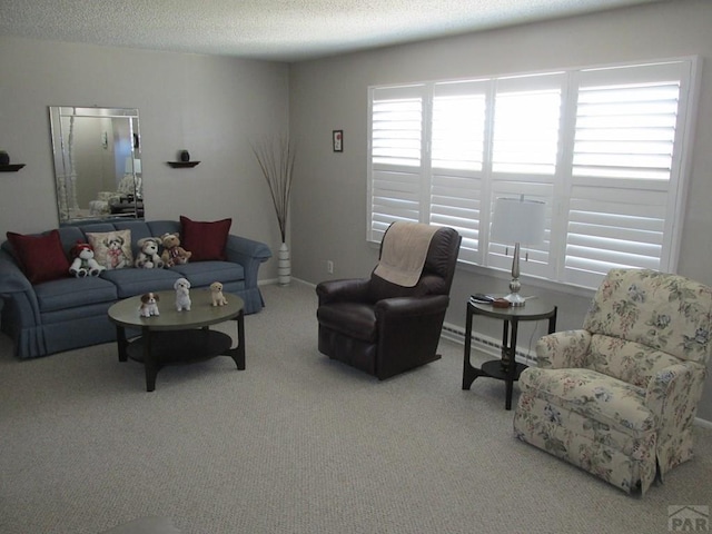 1520 Lexington Rd, Pueblo, CO 81001 - living room with baseboards, carpet, and a textured ceiling