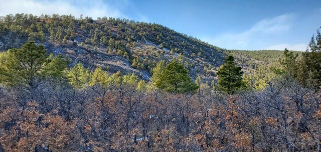 view of mountain feature featuring a forest view