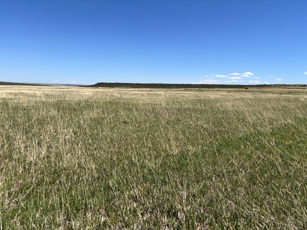 LOT760 Lawrence, Colorado City, CO 81019 - photo 4