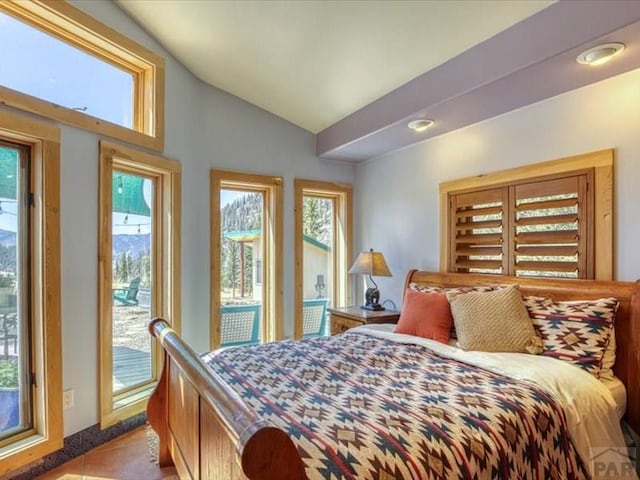 1441 Forest Rd Unit 507 1A, Creede, CO 81130 - bedroom featuring access to outside and lofted ceiling
