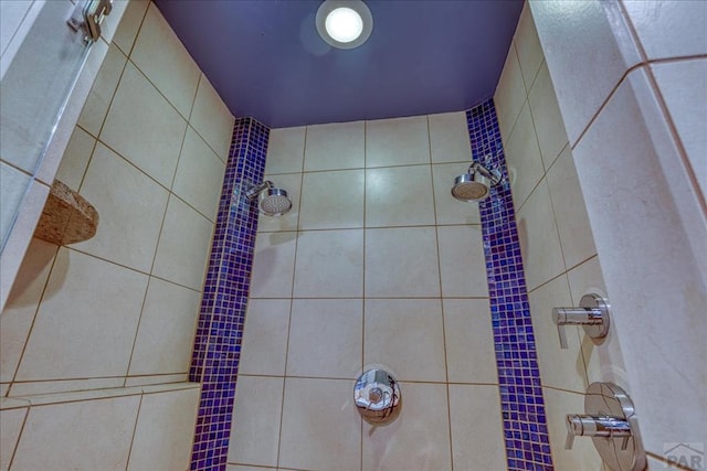 1441 Forest Rd Unit 507 1A, Creede, CO 81130 - bathroom with a tile shower