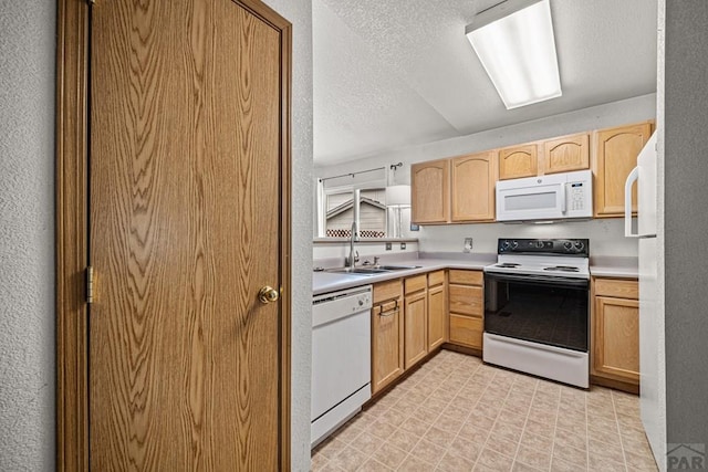 5026 Pioneer Pl, Pueblo, CO 81008 - photo 10