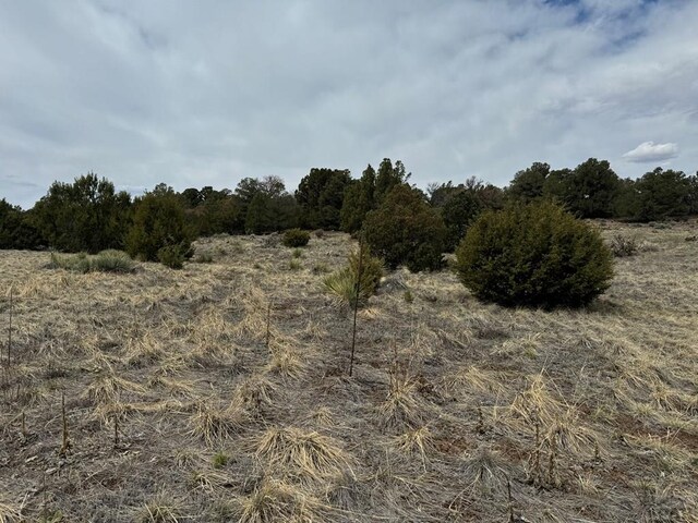 Listing photo 3 for LOT65 Comanche Dr, Walsenburg CO 81089