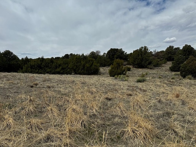 Listing photo 2 for LOT65 Comanche Dr, Walsenburg CO 81089