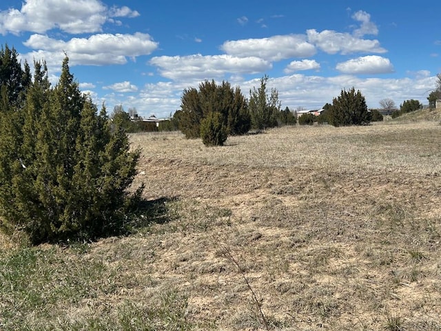 LOT166 Indian Falls Dr, Colorado City, CO 81019 - photo 4