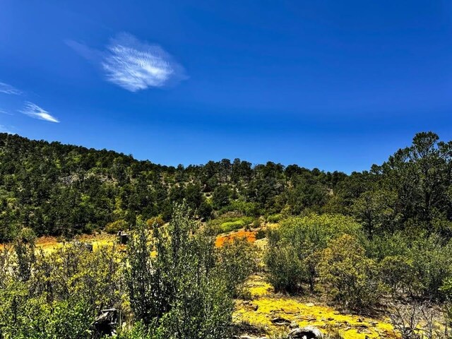 11958 Cielo Grande Rd, Weston, CO 81091 - photo 12