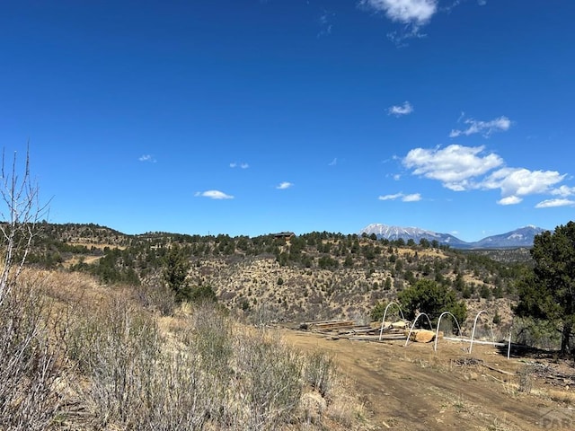 11958 Cielo Grande Rd, Weston, CO 81091 - photo 5