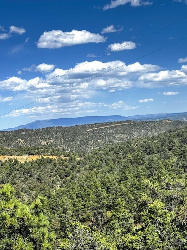 11958 Cielo Grande Rd, Weston, CO 81091 - photo 9