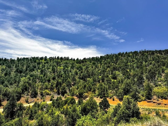 11958 Cielo Grande Rd, Weston, CO 81091 - photo 3