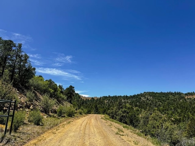 11958 Cielo Grande Rd, Weston, CO 81091 - photo 16