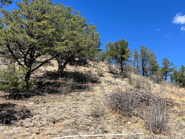 11958 Cielo Grande Rd, Weston, CO 81091 - photo 8