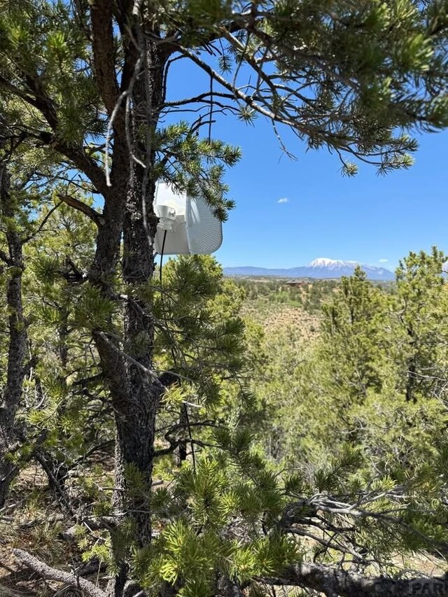 11958 Cielo Grande Rd, Weston, CO 81091 - photo 10