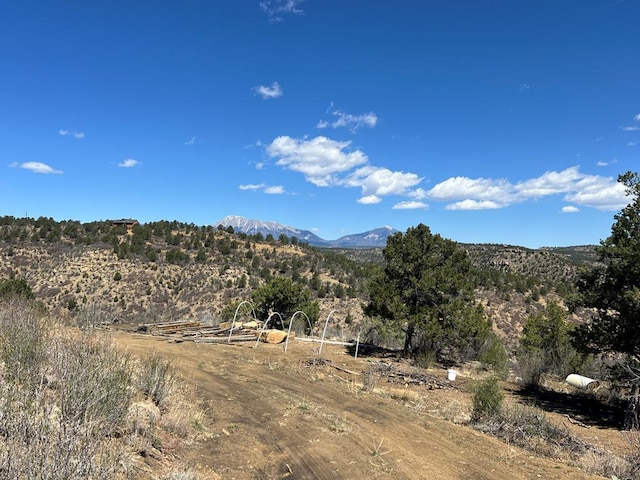 11958 Cielo Grande Rd, Weston, CO 81091 - photo 11