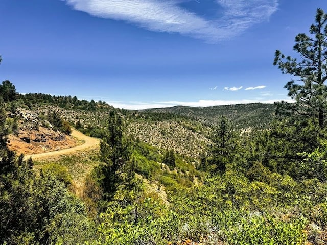 11958 Cielo Grande Rd, Weston, CO 81091 - photo 17