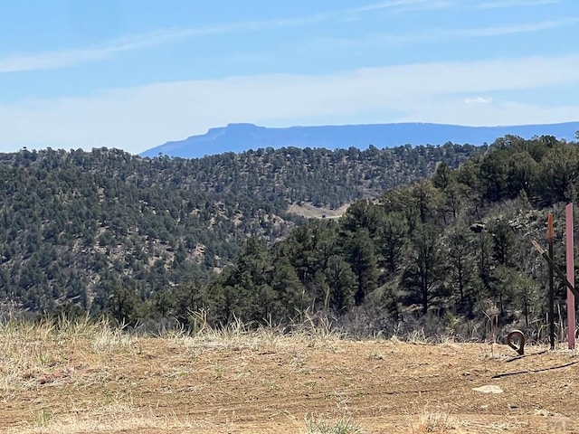 11958 Cielo Grande Rd, Weston, CO 81091 - photo 2