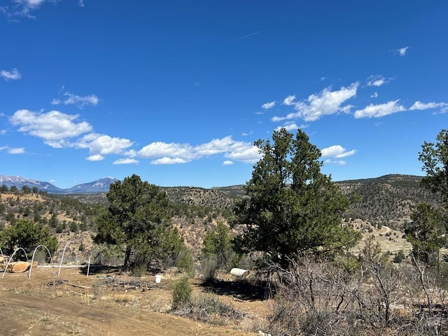 11958 Cielo Grande Rd, Weston, CO 81091 - photo 4