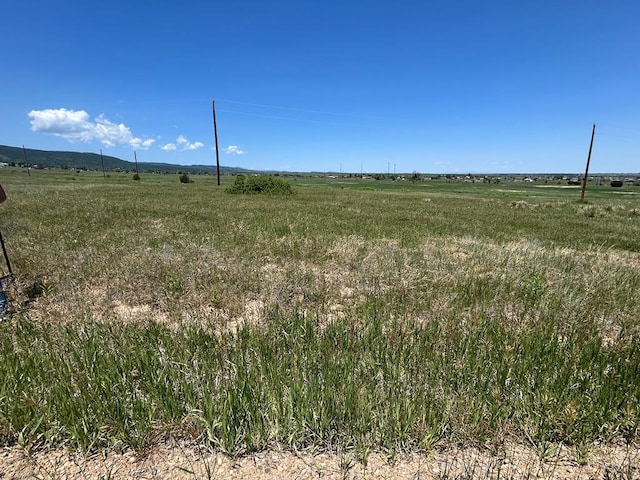 LOT203 Beckwith Dr, Colorado City, CO 81019 - photo 4