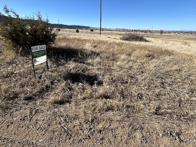 LOT203 Beckwith Dr, Colorado City, CO 81019 - photo 7