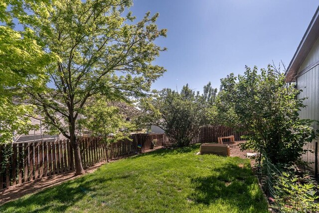 1501 Stonewall, Trinidad, CO 81082 - view of fenced backyard