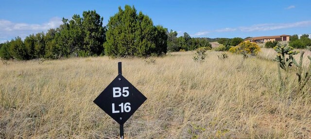 BL5L16 Diamond Head Vis, Walsenburg, CO 81089 - photo 4