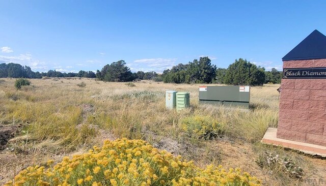 BL5L16 Diamond Head Vis, Walsenburg, CO 81089 - photo 15
