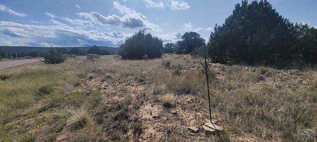 BL5L16 Diamond Head Vis, Walsenburg, CO 81089 - photo 11