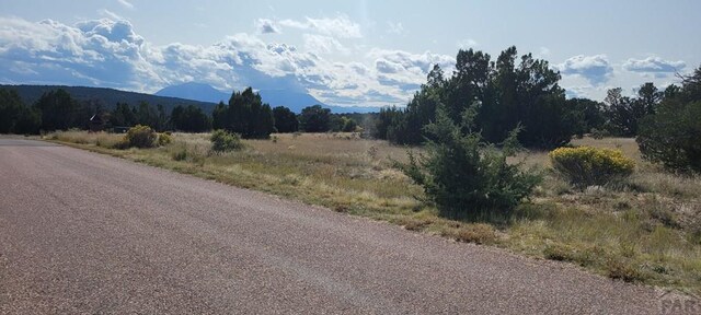 BL5L16 Diamond Head Vis, Walsenburg, CO 81089 - photo 13