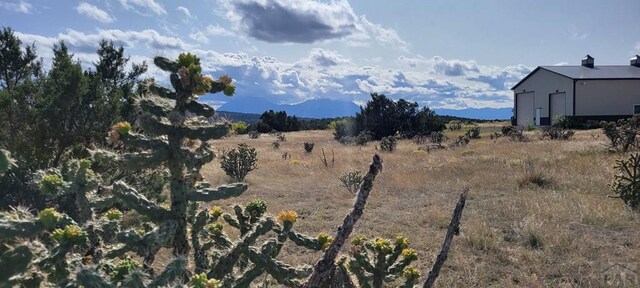 BL5L16 Diamond Head Vis, Walsenburg, CO 81089 - photo 12