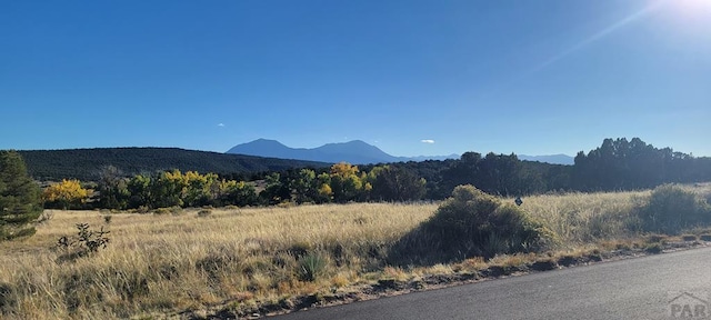 BL5L16 Diamond Head Vis, Walsenburg, CO 81089 - photo 1