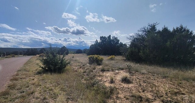 BL5L16 Diamond Head Vis, Walsenburg, CO 81089 - photo 10