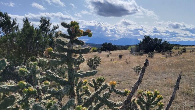 BL5L16 Diamond Head Vis, Walsenburg, CO 81089 - photo 7