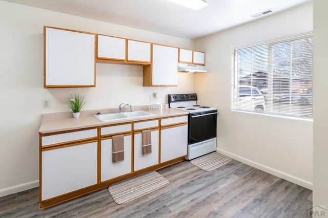 kitchen featuring under cabinet range hood, a sink, visible vents, light wood finished floors, and white electric range oven