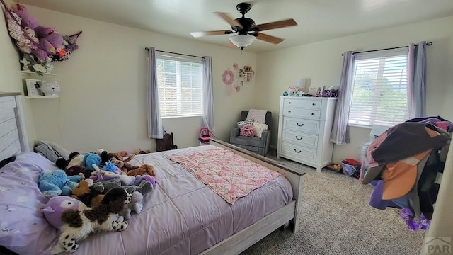 12 Grant Ave, Penrose, CO 81240 - photo 15