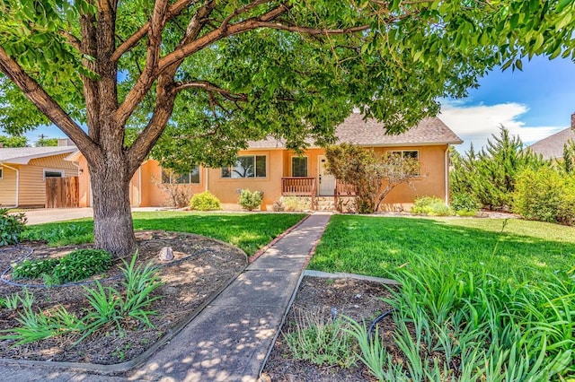 1215 Greenwood Ave, Canon City, CO 81212 - view of property hidden behind natural elements with stucco siding and roof with shingles