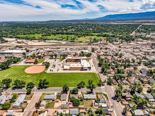 1215 Greenwood Ave, Canon City, CO 81212 - aerial view of residential area featuring a mountain backdrop