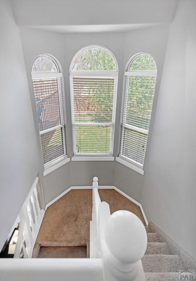 9 Glendora Ct, Pueblo, CO 81005 - photo 20