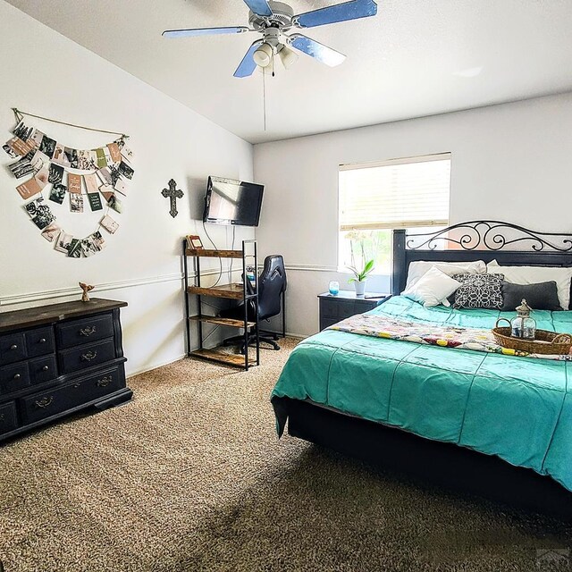 1253 N Stratton Dr, Pueblo West, CO 81007 - photo 33