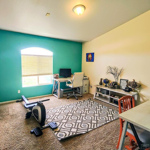 1253 N Stratton Dr, Pueblo West, CO 81007 - photo 34