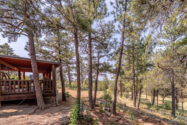14600 County Rd 30.1, Weston, CO 81091 - photo 64