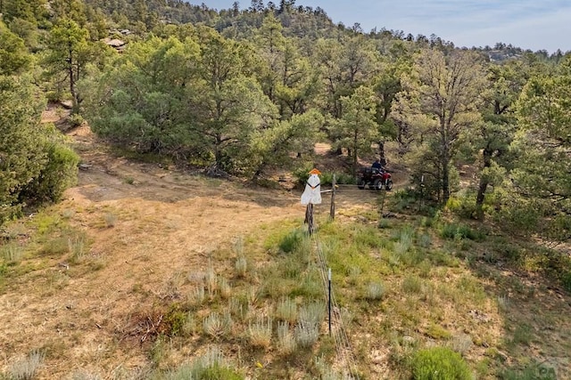 14600 County Rd 30.1, Weston, CO 81091 - photo 48