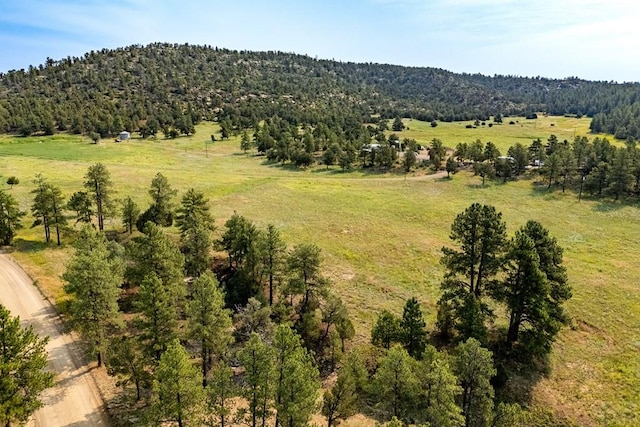 14600 County Rd 30.1, Weston, CO 81091 - photo 29