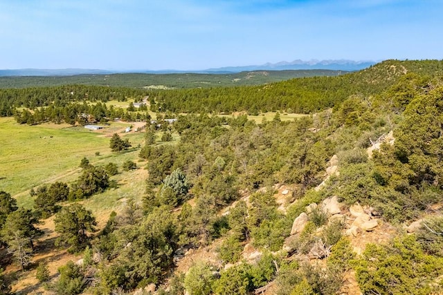 14600 County Rd 30.1, Weston, CO 81091 - photo 25